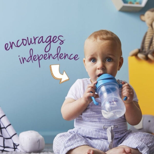 B.box Sippy Cup 240ml Bbox sippy bottle