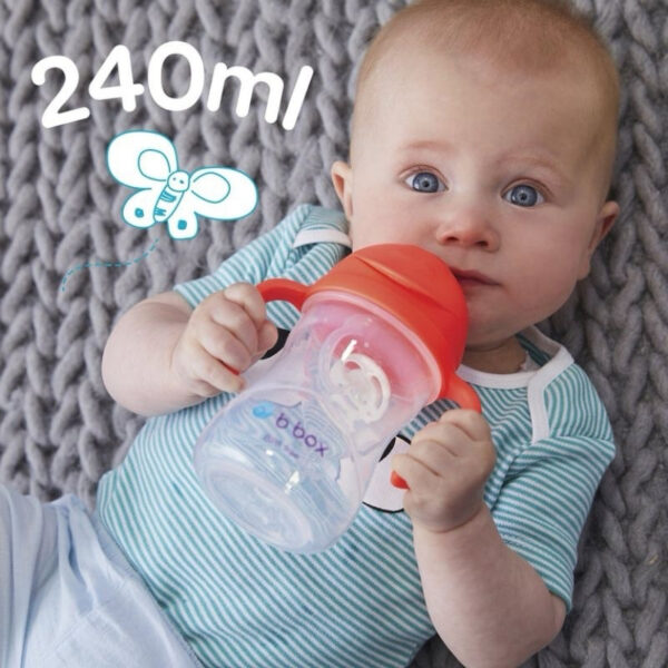 B.box Sippy Cup 240ml Bbox sippy bottle