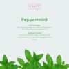 Berry C Bed & Fabric Sterilizer Spray  300ml berryc bed spray berryc bedlinen bed fabric