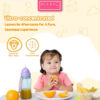BerryC Food Safe Utensil & Dish Wash 200G 820G Sabun Cuci Botol Susu Bayi Baby Bottle Soap Cleanser
