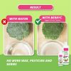 BerryC Veggie & Fruit Cleaner 300ml pembersih buah dan sayur 100ml