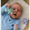 Dentistar Hugstar Teether anak Bintang Gurita