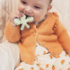 Dentistar Hugstar Teether anak Bintang Gurita