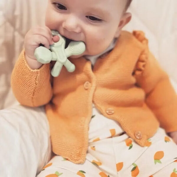 Dentistar Hugstar Teether anak Bintang Gurita