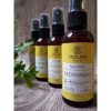 HOLEN DEO - TEODEE SPRAY 100ml - PEMUTIH. PENGHILANG BULU KETIAK & BAU BADAN teodeo