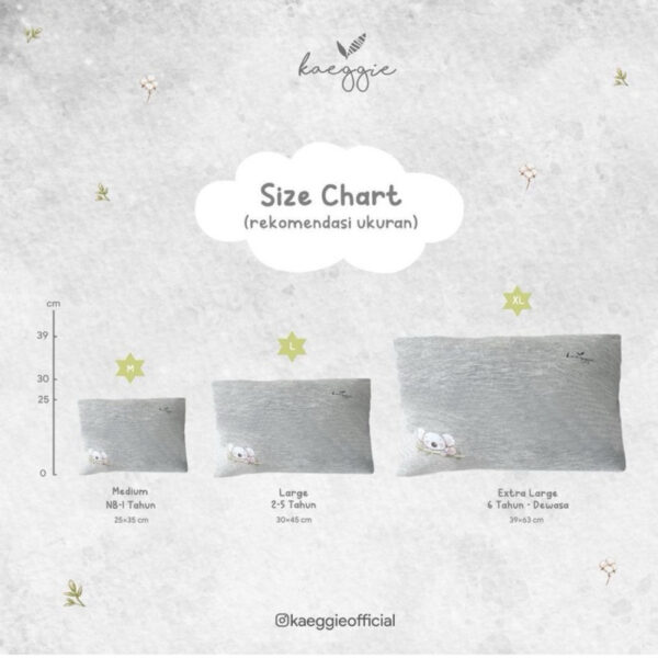 Kaeggie Signature Huggie Pillow Bantal Guling Organic Bamboo Kaeggie macaron Series