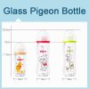 Pigeon Glass Wide Neck Bottle 160ml / 240ml 5oz 8oz Feeding Milk Bottle DOT BPA FREE ppsu