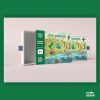 Pop Up book T-Rex Dimana? pop up book dinosaurus