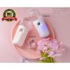 Portable Mini Fogging Mini Nano Spray, Nano Mist Sprayer, Mini Facial Humidifier Nano berryc