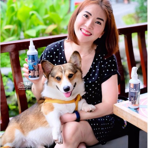 RACOON Bedak Pencegah Kutu Hewan 100% Bahan Alami & Organik Flea Repellent