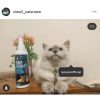 RACOON Bedak Pencegah Kutu Hewan 100% Bahan Alami & Organik Flea Repellent