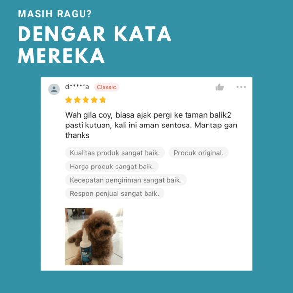 RACOON Bedak Pencegah Kutu Hewan 100% Bahan Alami & Organik Flea Repellent