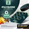 racoon-flygon-racun-umpan-lalat-buah-kamar-mandi Racoon FLYGON Racun Umpan Lalat Buah & Kamar mandi | Garansi 100% Uang Kembali