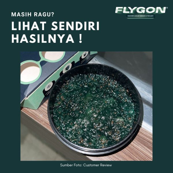 racoon-flygon-racun-umpan-lalat-buah-kamar-mandi-2 Racoon FLYGON Racun Umpan Lalat Buah & Kamar mandi | Garansi 100% Uang Kembali