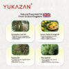 Yukazan Children Flu Relief Nose Patch breath easy Yukazan Cough Relief Medical Patch meredakan Batuk kering dan Hidung tersumbat